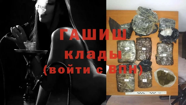 крисы Новозыбков