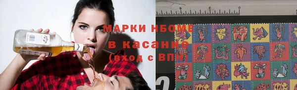 сатива Белая Холуница