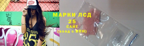 крисы Новозыбков