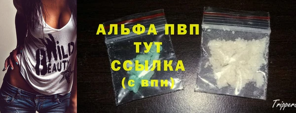 сатива Белая Холуница