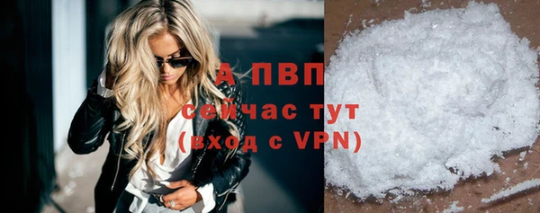 сатива Белая Холуница