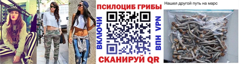 Псилоцибиновые грибы MAGIC MUSHROOMS  Электросталь 