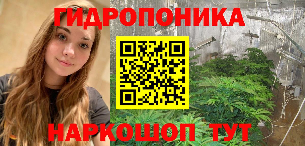 Шишки марихуана планчик Электросталь